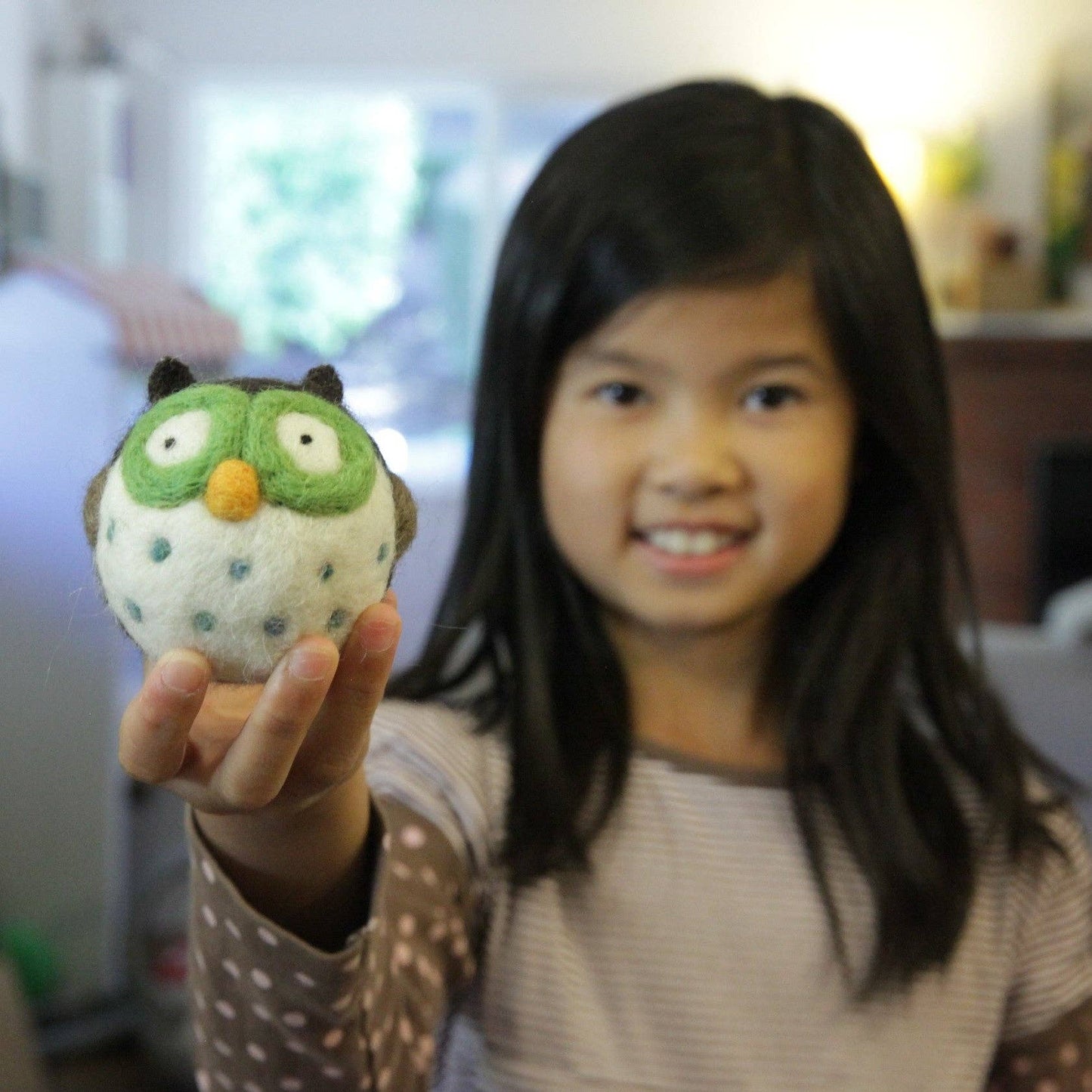 Woolbuddy - Needle Felting Owl Kit