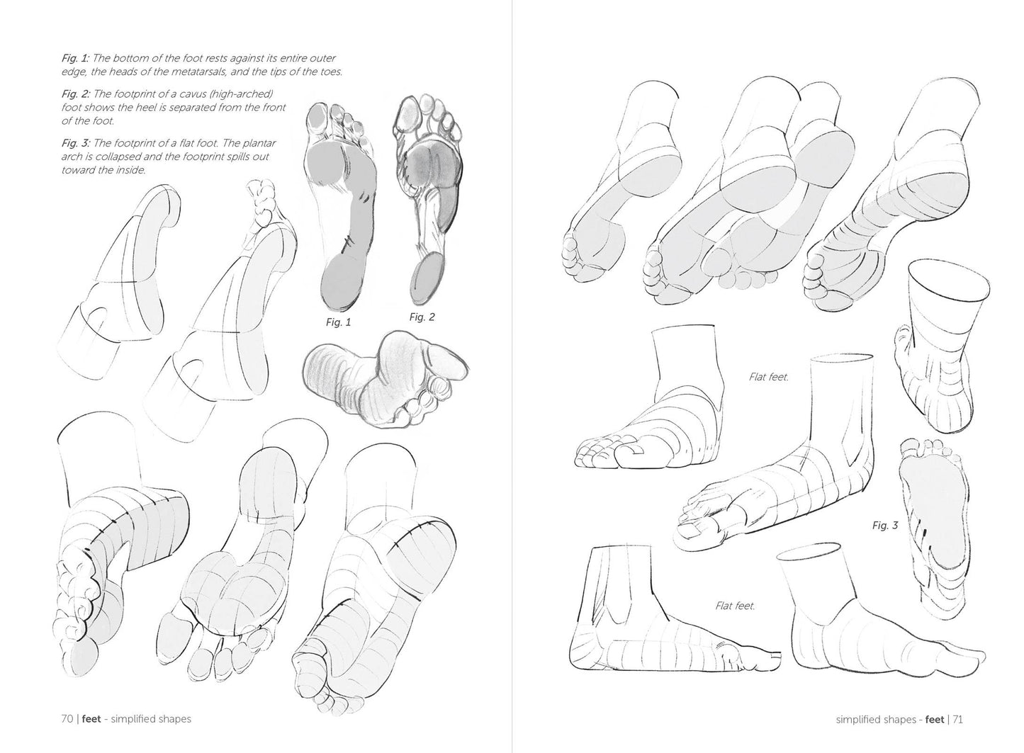 Rocky Nook - Morpho: Hands And Feet