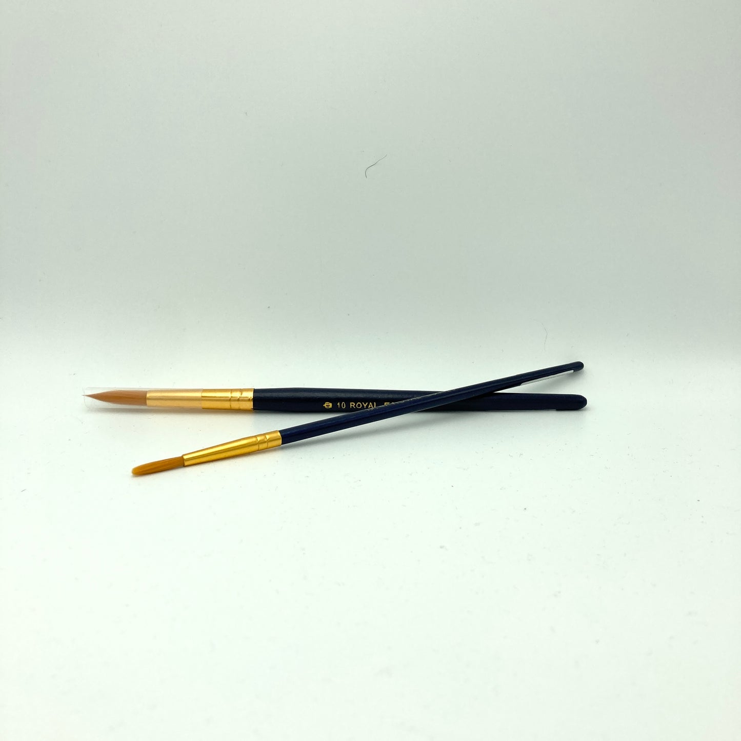 RB Golden Taklon Student Grade Brush