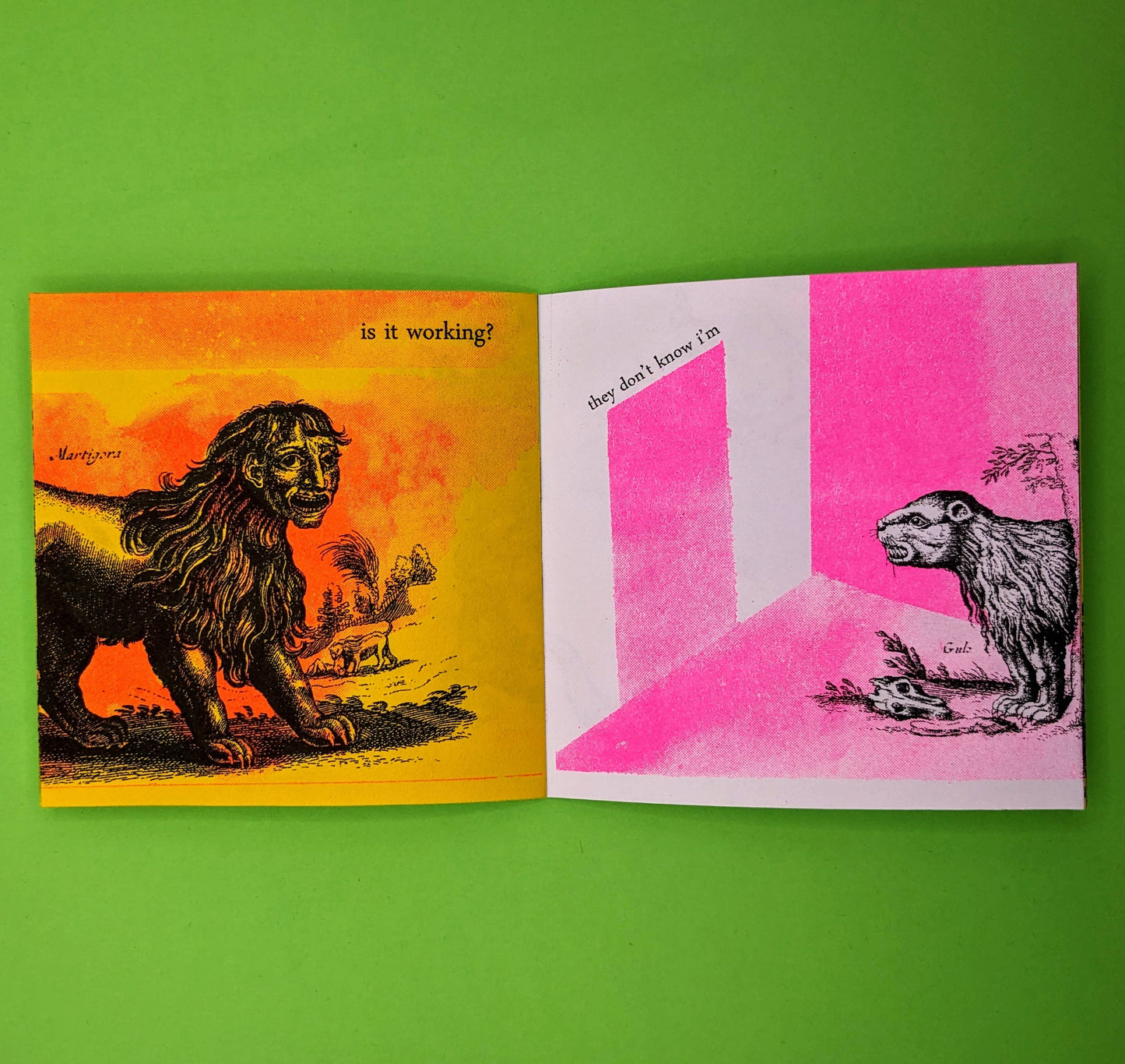 Push/Pull - Push/Pull Press - Insta Comix - Rebecca Ann Jordan