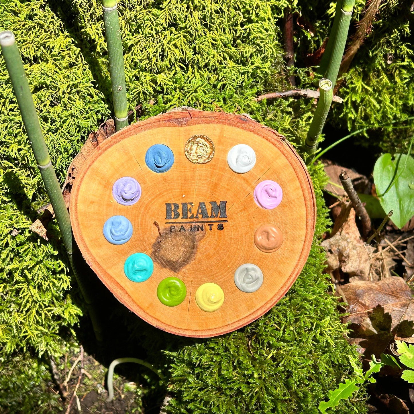 Beam Paints Palette