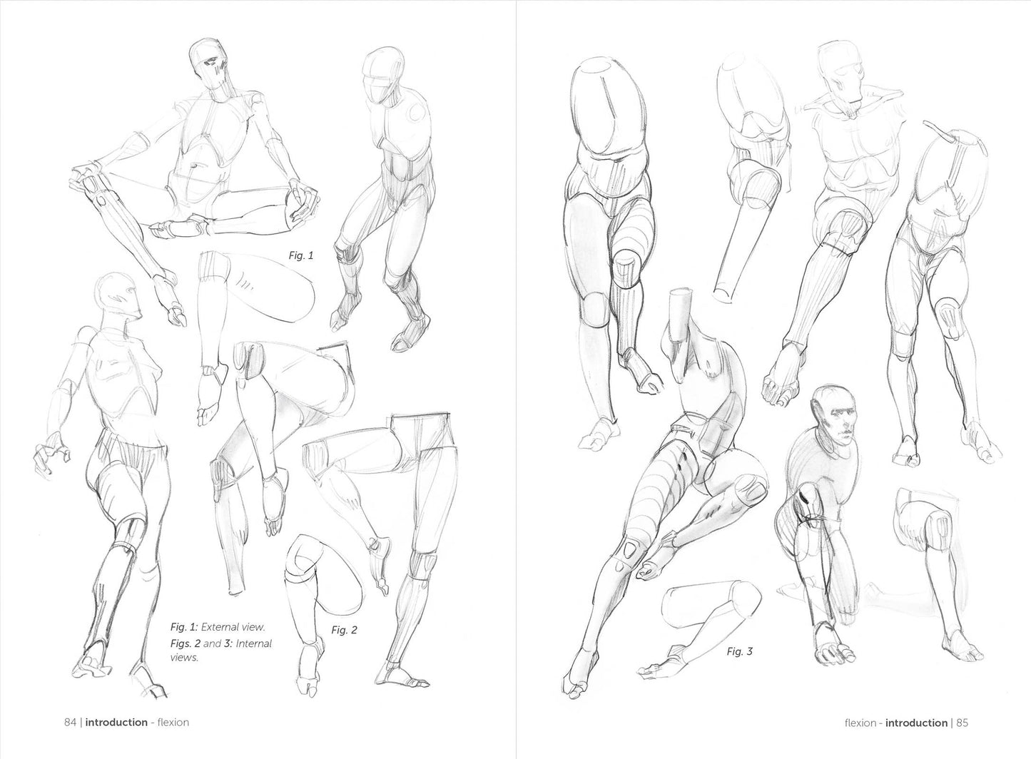 Rocky Nook - Morpho: Simplified Forms