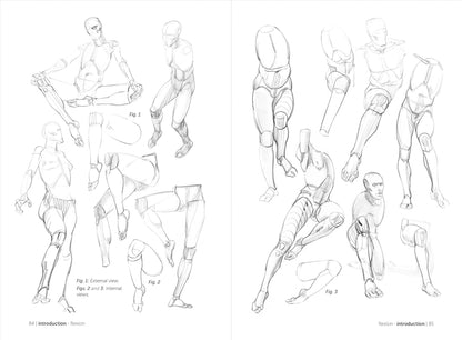 Rocky Nook - Morpho: Simplified Forms