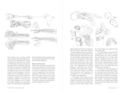 Rocky Nook - Morpho: Hands And Feet