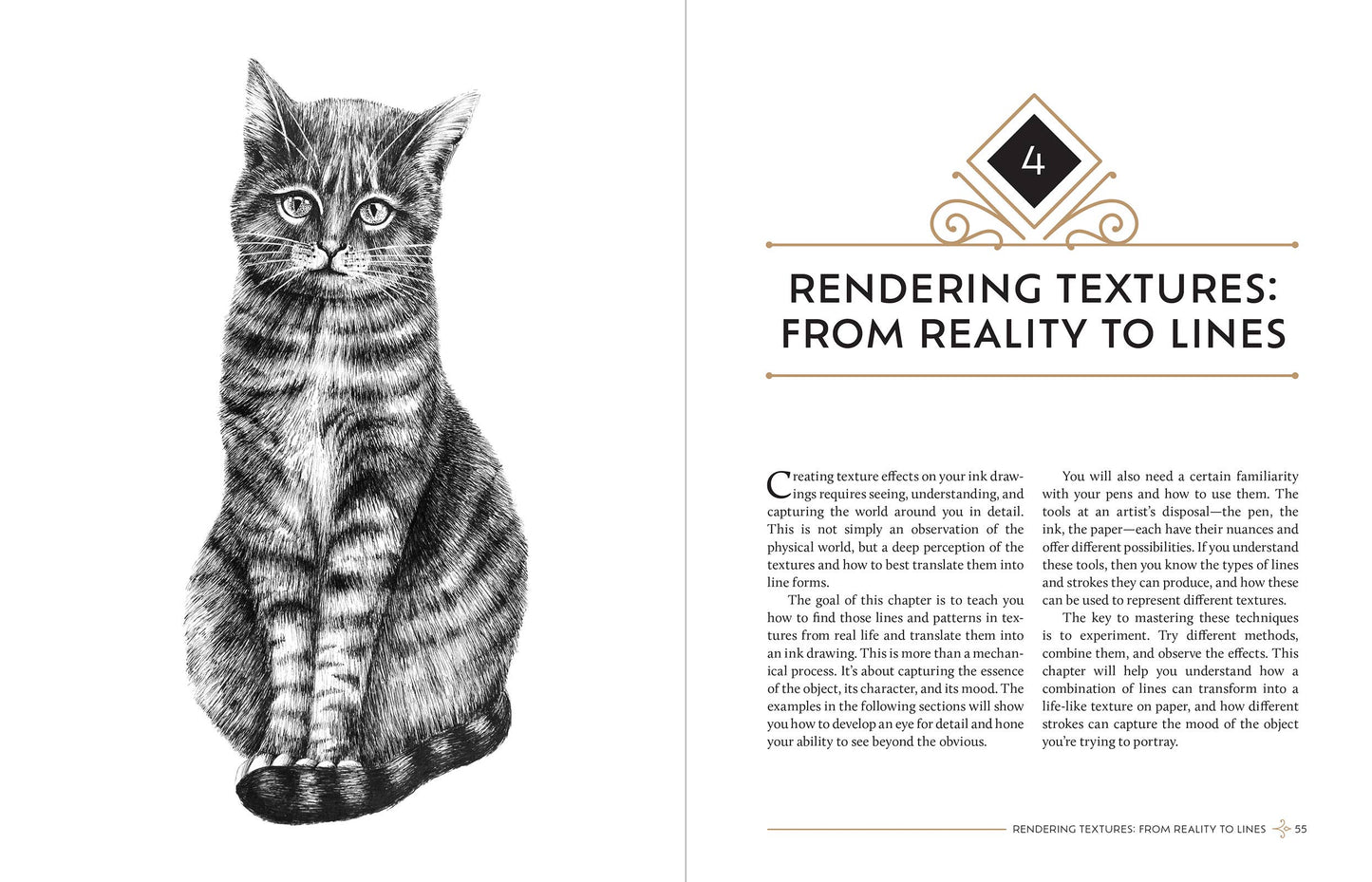 Rocky Nook - The Pen And Ink Drawing Guide
