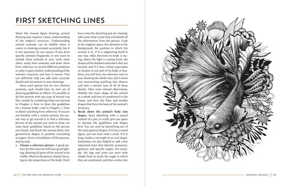 Rocky Nook - The Pen And Ink Drawing Guide