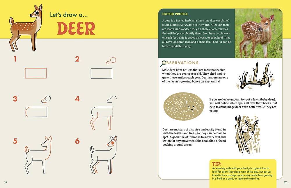Rocky Nook - The Nature Explorer's Drawing Guide For Kids
