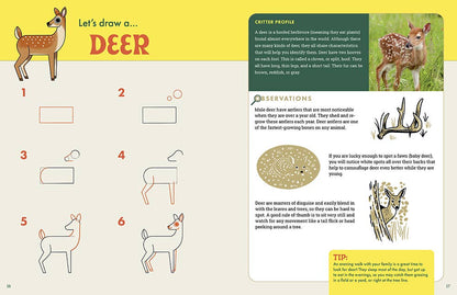 Rocky Nook - The Nature Explorer's Drawing Guide For Kids
