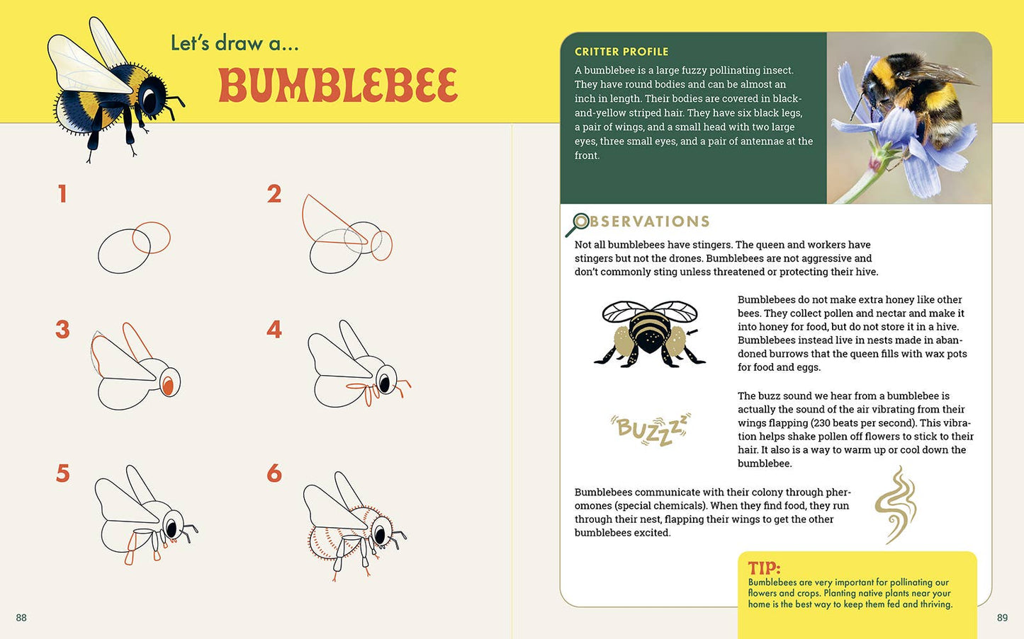 Rocky Nook - The Nature Explorer's Drawing Guide For Kids
