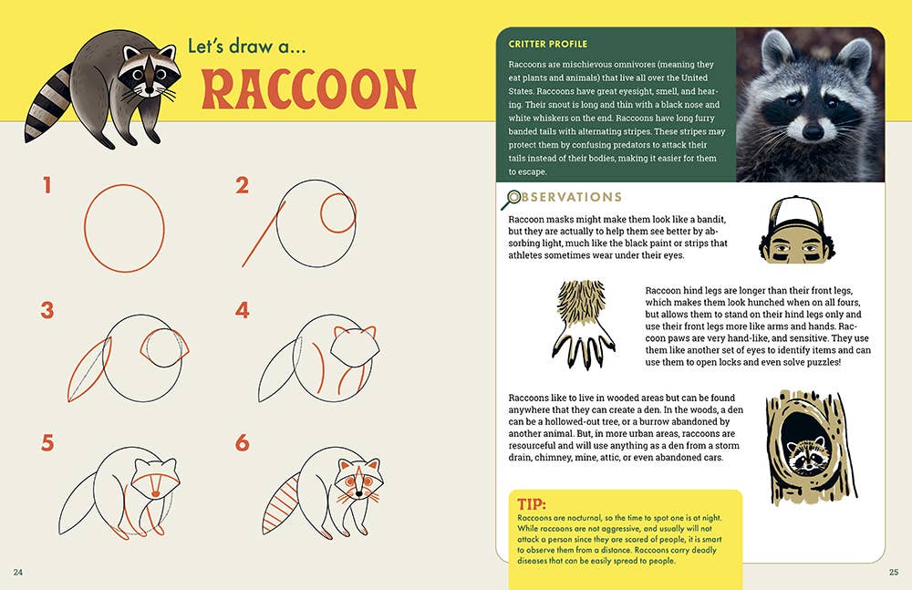 Rocky Nook - The Nature Explorer's Drawing Guide For Kids