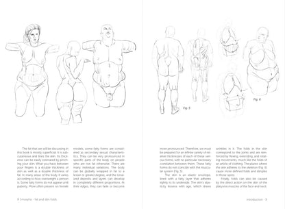 Rocky Nook - Morpho: Fat And Skin Folds