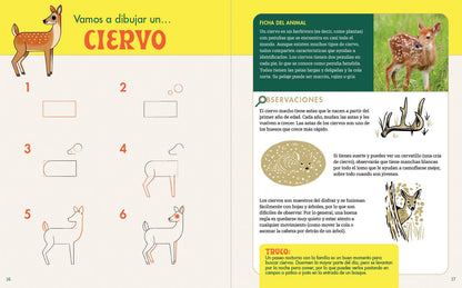 Rocky Nook - Cuaderno de Dibujo Para Exploradores de la Naturaleza