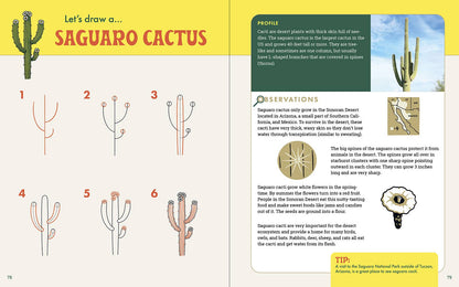 Rocky Nook - The Nature Explorer's Drawing Guide For Kids