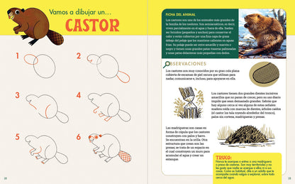 Rocky Nook - Cuaderno de Dibujo Para Exploradores de la Naturaleza