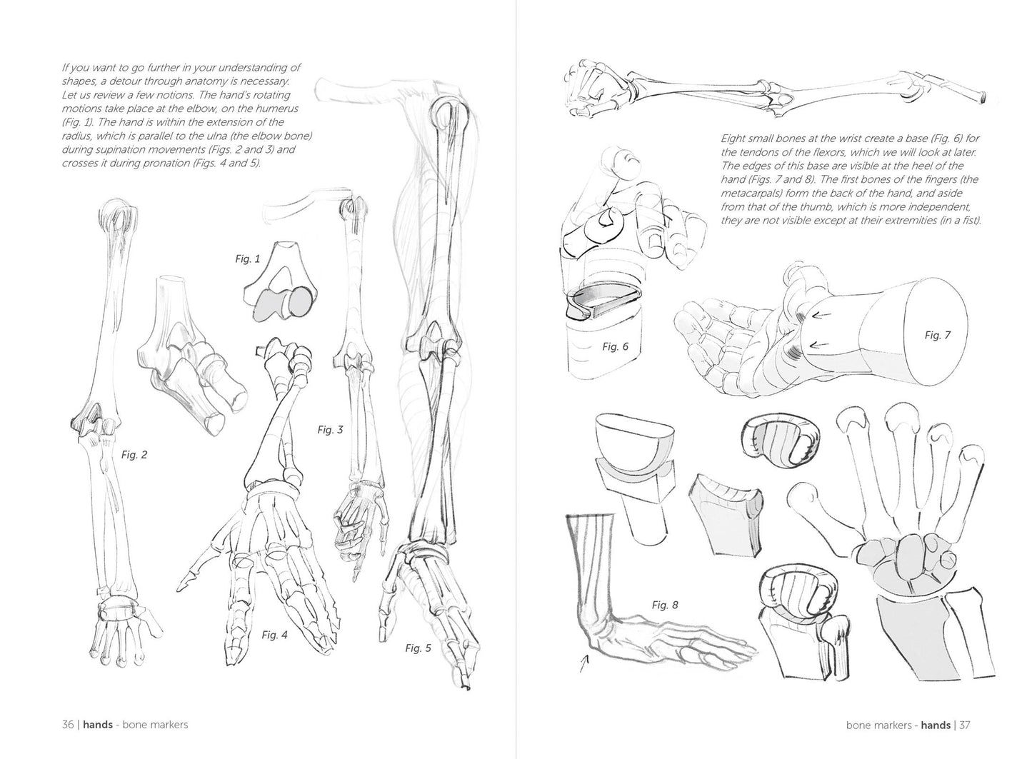Rocky Nook - Morpho: Hands And Feet