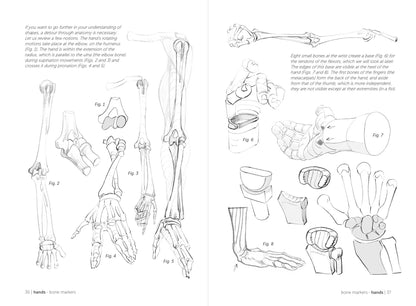 Rocky Nook - Morpho: Hands And Feet