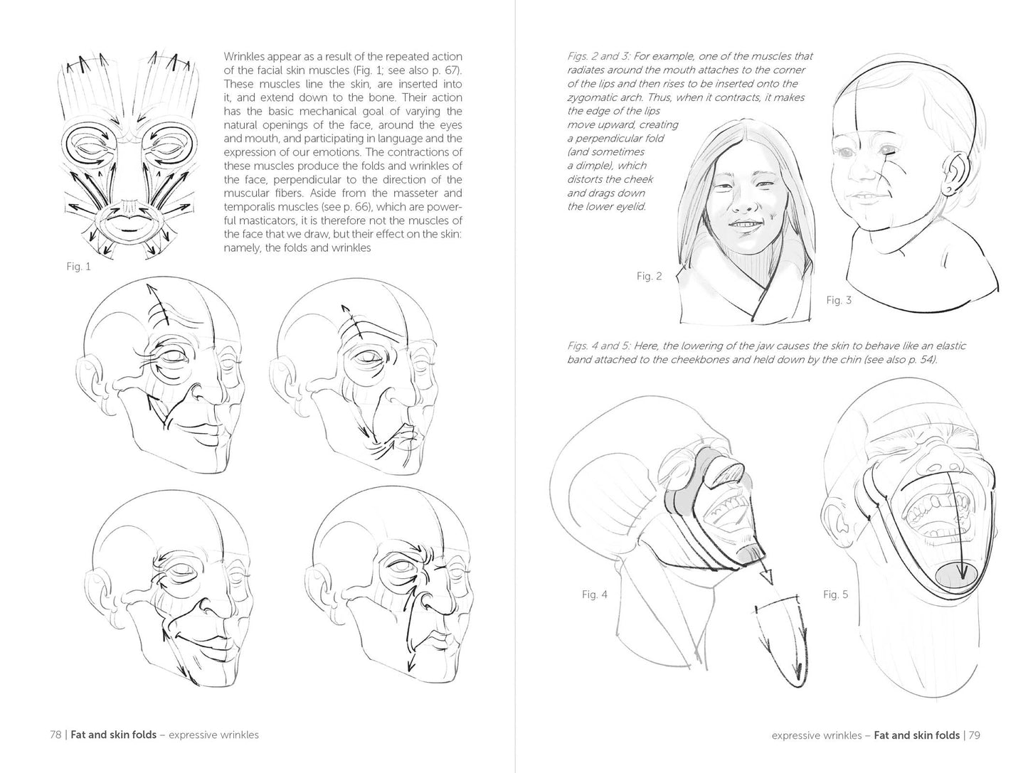 Rocky Nook - Morpho: Face, Head, And Neck