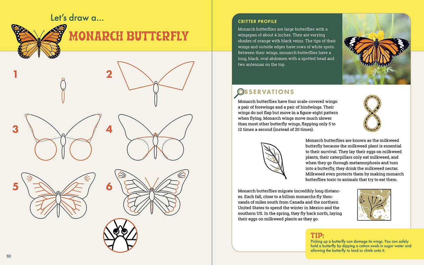 Rocky Nook - The Nature Explorer's Drawing Guide For Kids