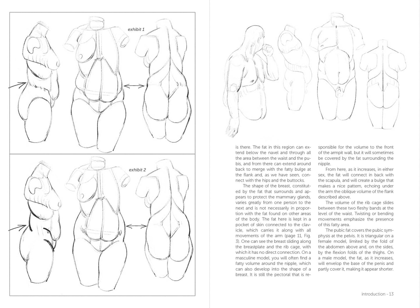 Rocky Nook - Morpho: Fat And Skin Folds