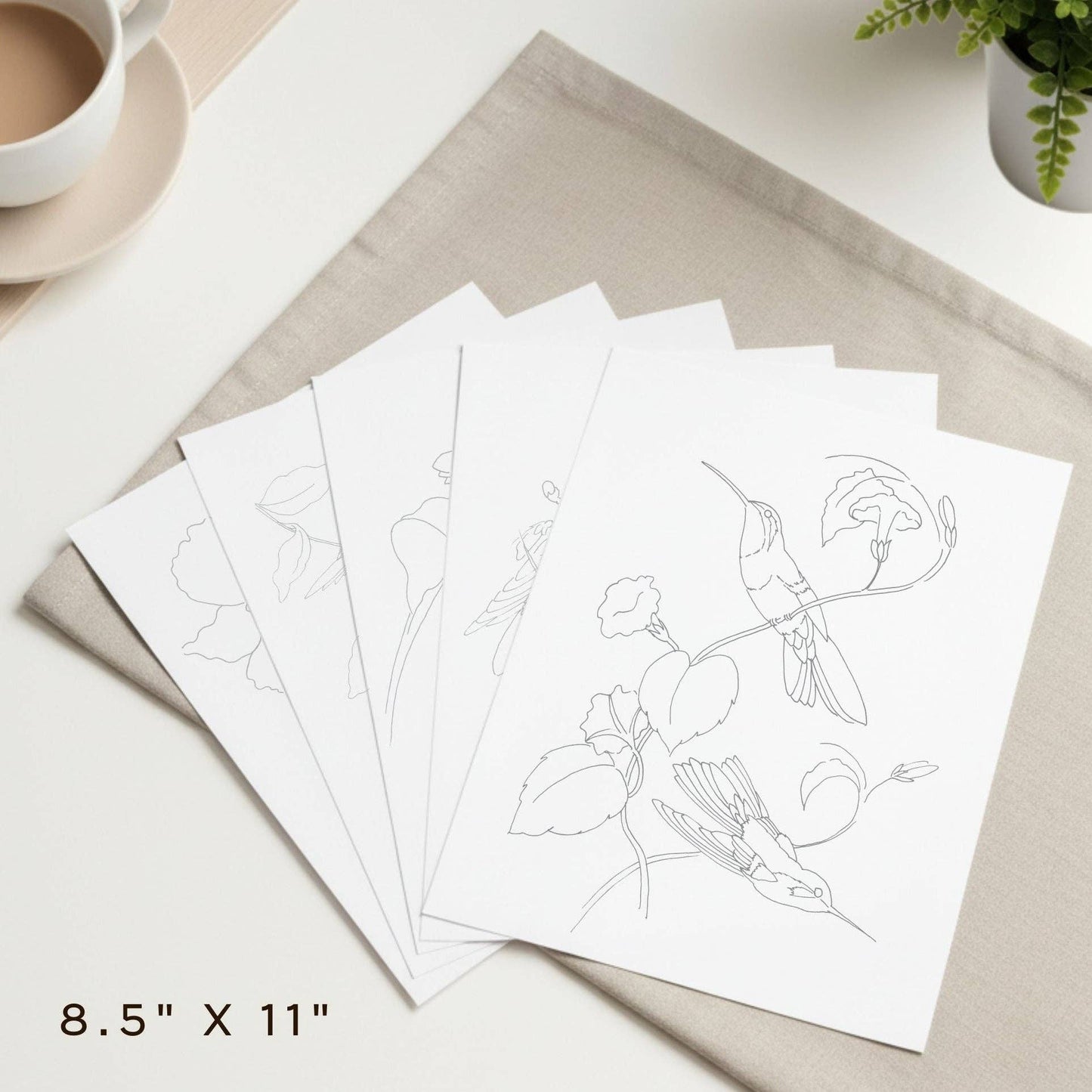 Willow Wolfe USA - Vintage Hummingbirds Oil Workbook by Willow Wolfe - Limited Quantities