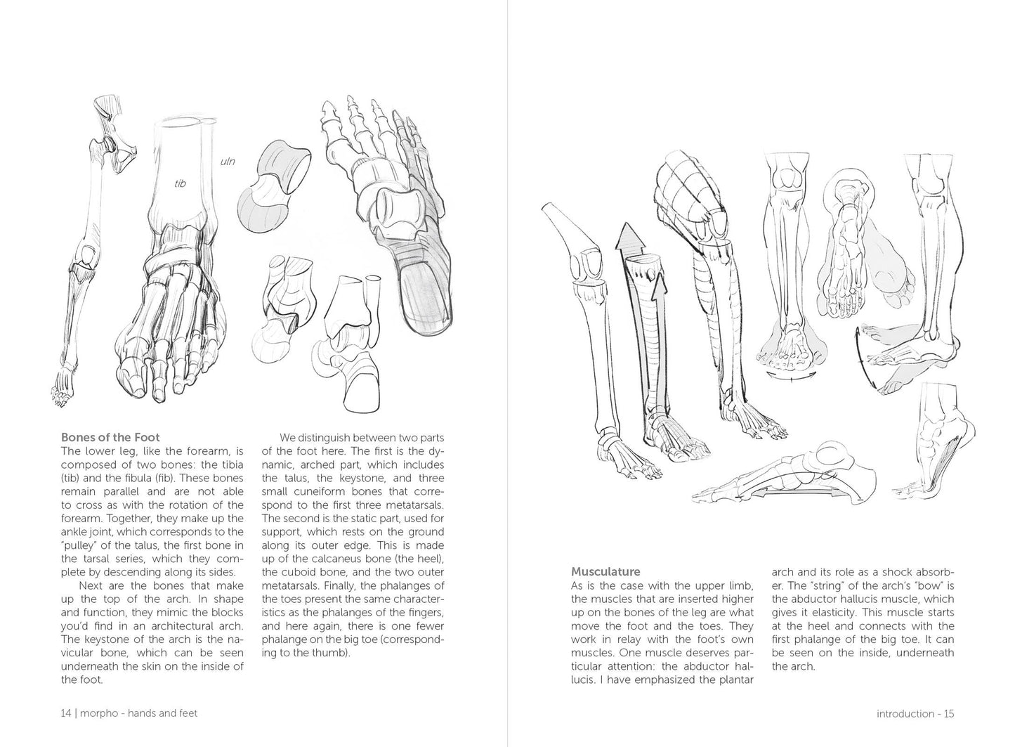 Rocky Nook - Morpho: Hands And Feet
