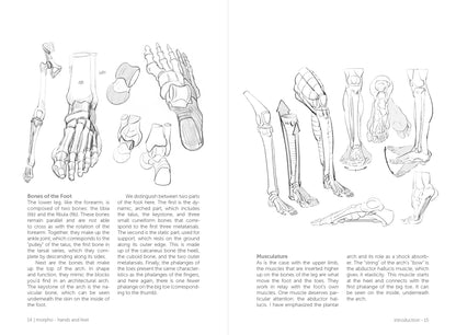 Rocky Nook - Morpho: Hands And Feet
