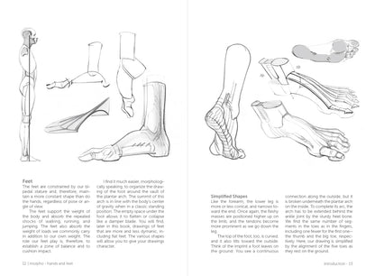Rocky Nook - Morpho: Hands And Feet