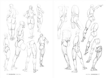Rocky Nook - Morpho: Simplified Forms