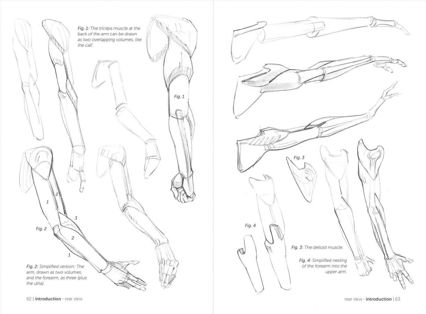 Rocky Nook - Morpho: Simplified Forms