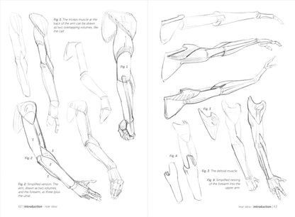 Rocky Nook - Morpho: Simplified Forms