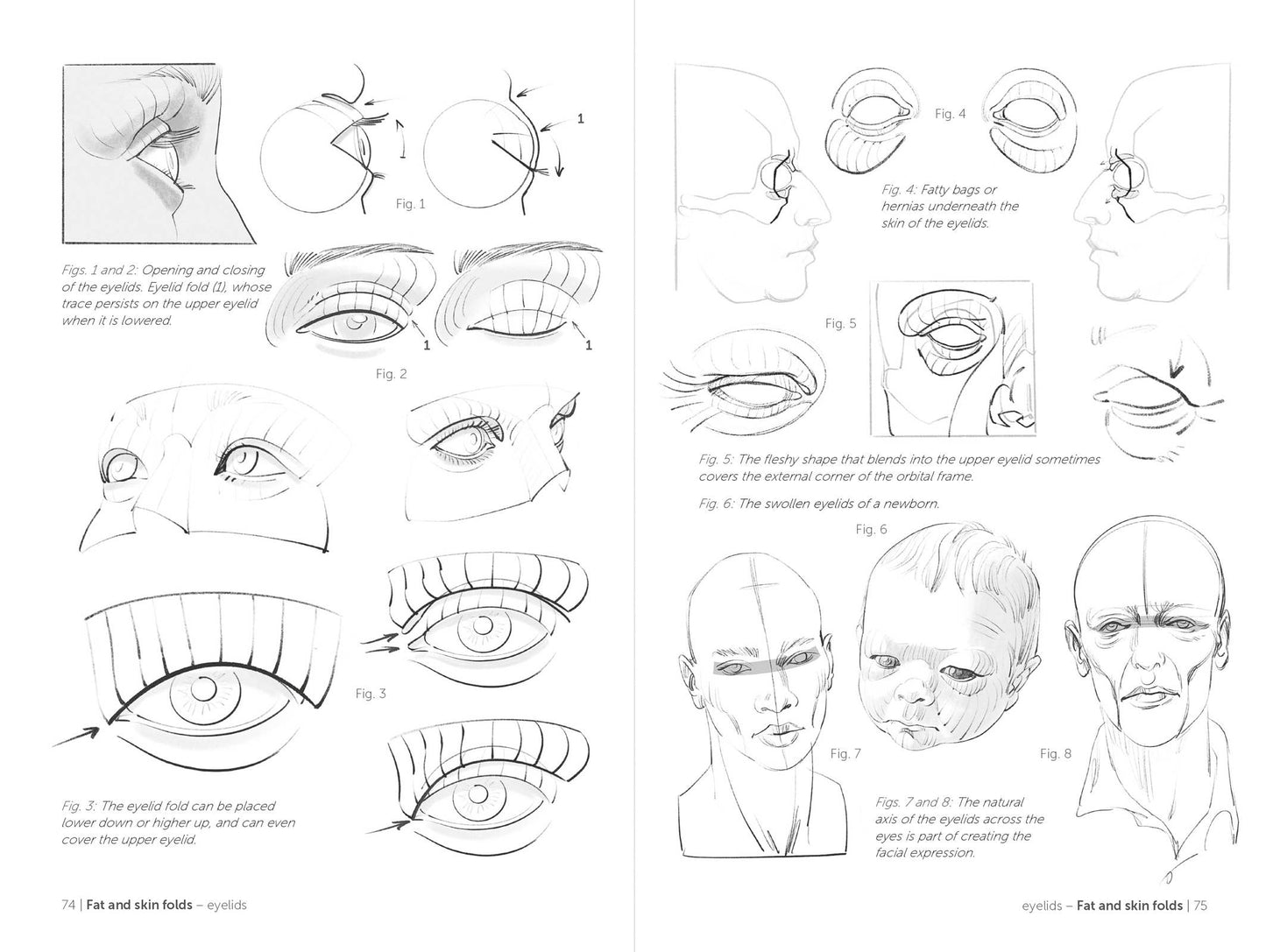 Rocky Nook - Morpho: Face, Head, And Neck