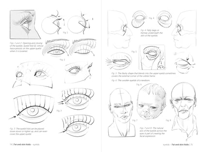 Rocky Nook - Morpho: Face, Head, And Neck