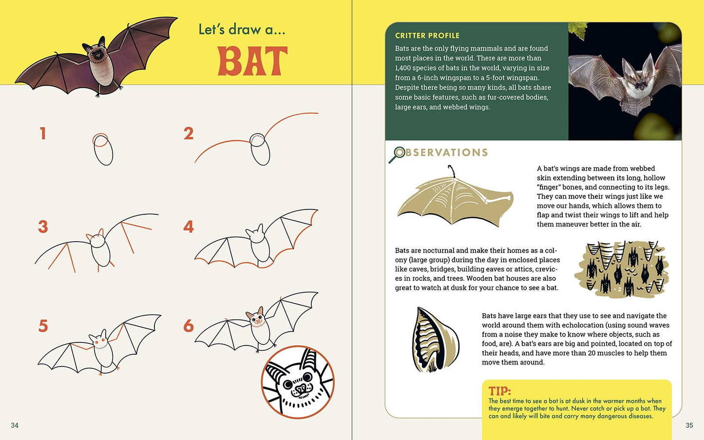 Rocky Nook - The Nature Explorer's Drawing Guide For Kids