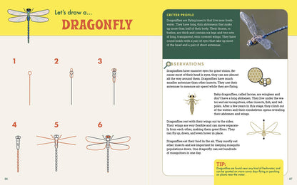 Rocky Nook - The Nature Explorer's Drawing Guide For Kids