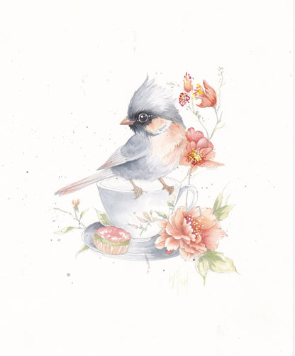 Willow Wolfe USA - Feathers & Finery Watercolor Workbook