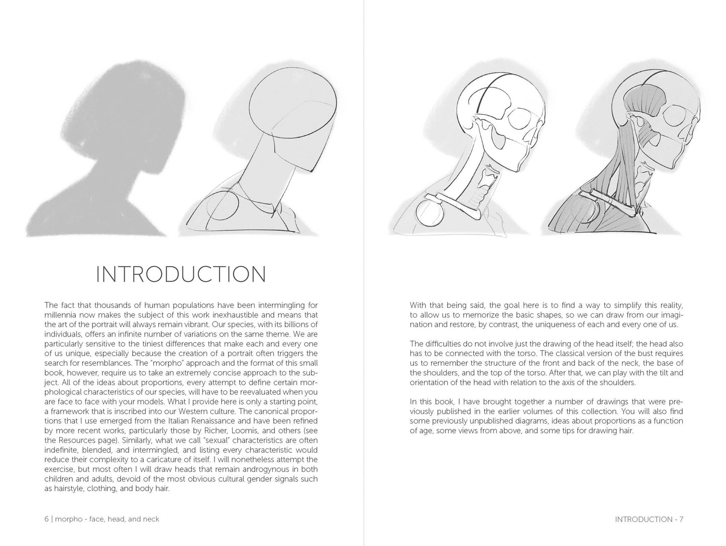 Rocky Nook - Morpho: Face, Head, And Neck