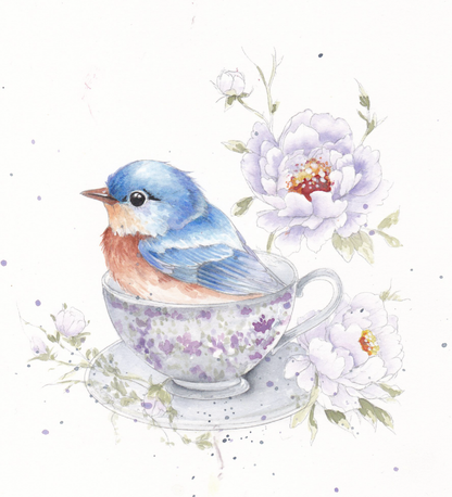 Willow Wolfe USA - Feathers & Finery Watercolor Workbook