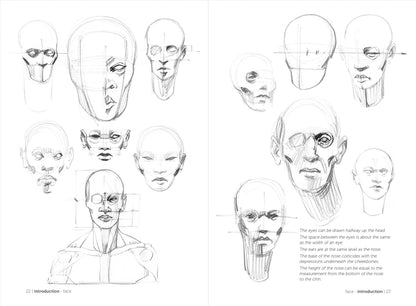 Rocky Nook - Morpho: Simplified Forms