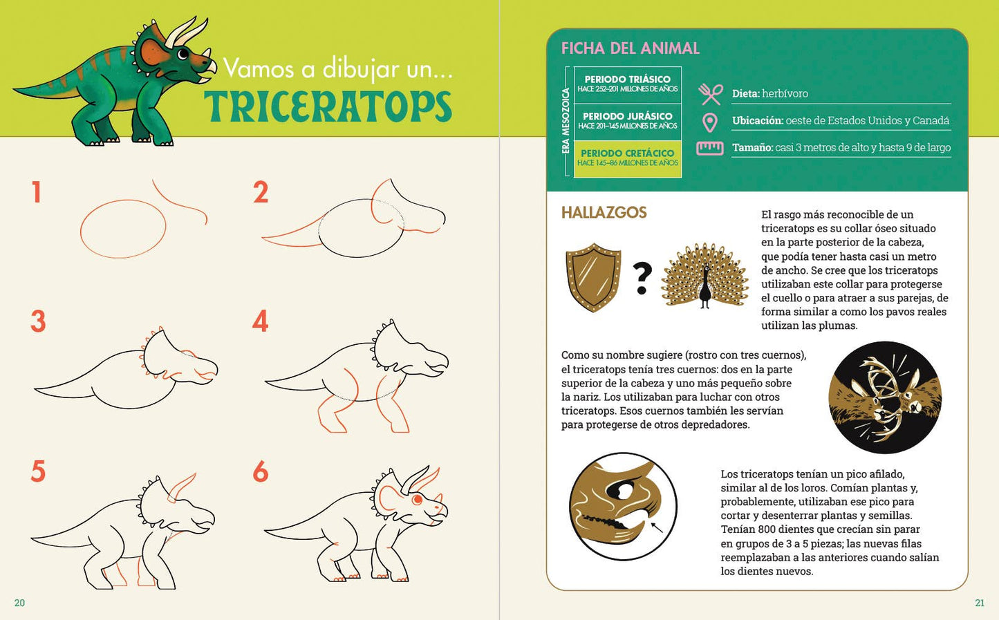 Rocky Nook - Cuaderno de Dibujo para Exploradores de Dinosaurios