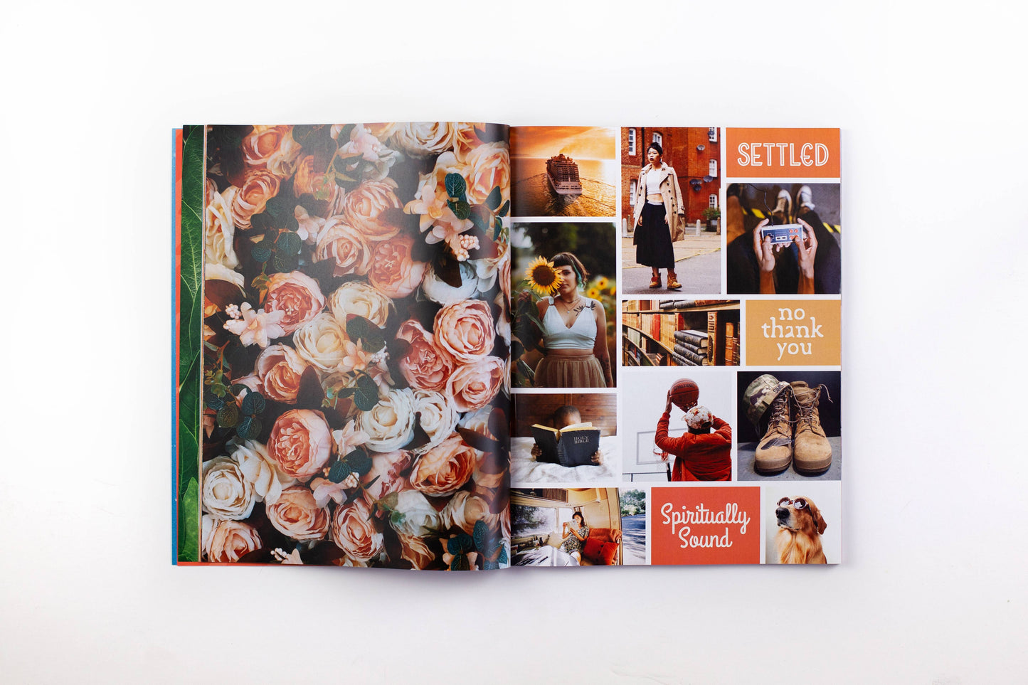 Free Period Press - The Vision Board Book: 700+ Words & Images
