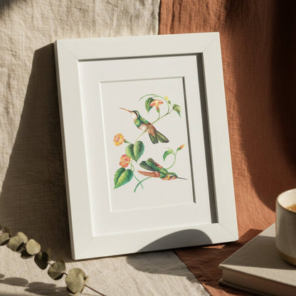 Willow Wolfe USA - Vintage Hummingbirds Oil Workbook by Willow Wolfe - Limited Quantities