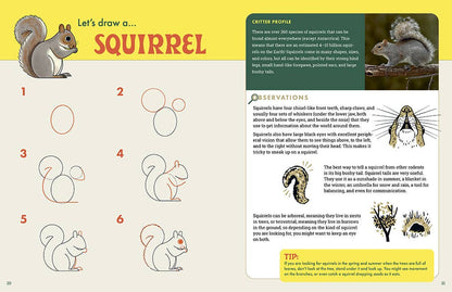 Rocky Nook - The Nature Explorer's Drawing Guide For Kids