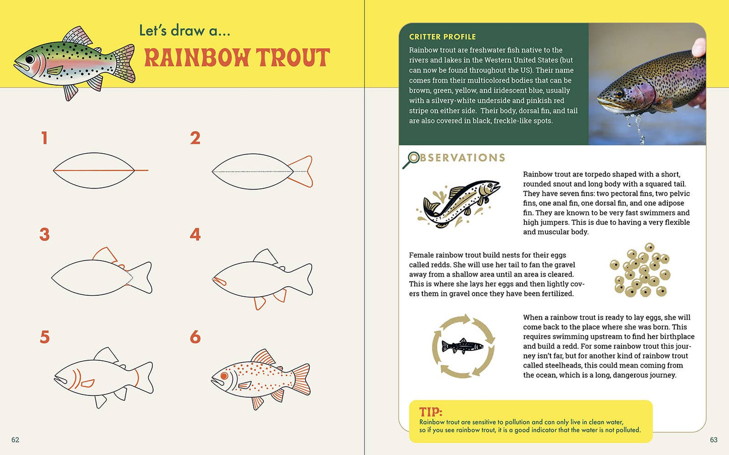 Rocky Nook - The Nature Explorer's Drawing Guide For Kids