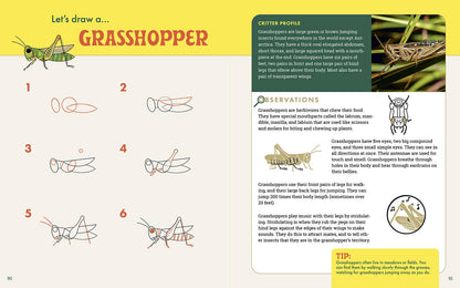 Rocky Nook - The Nature Explorer's Drawing Guide For Kids