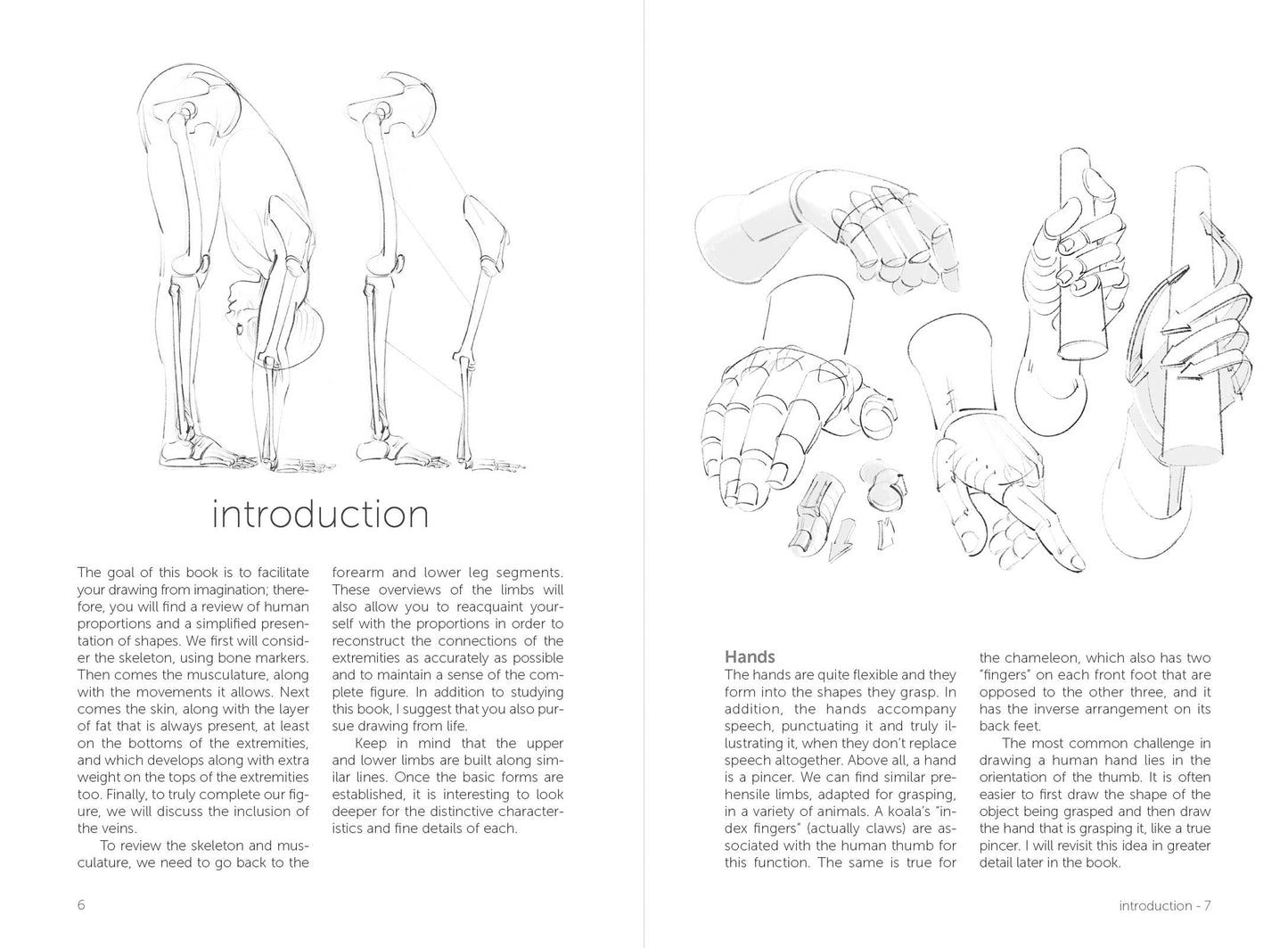 Rocky Nook - Morpho: Hands And Feet