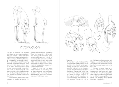 Rocky Nook - Morpho: Hands And Feet