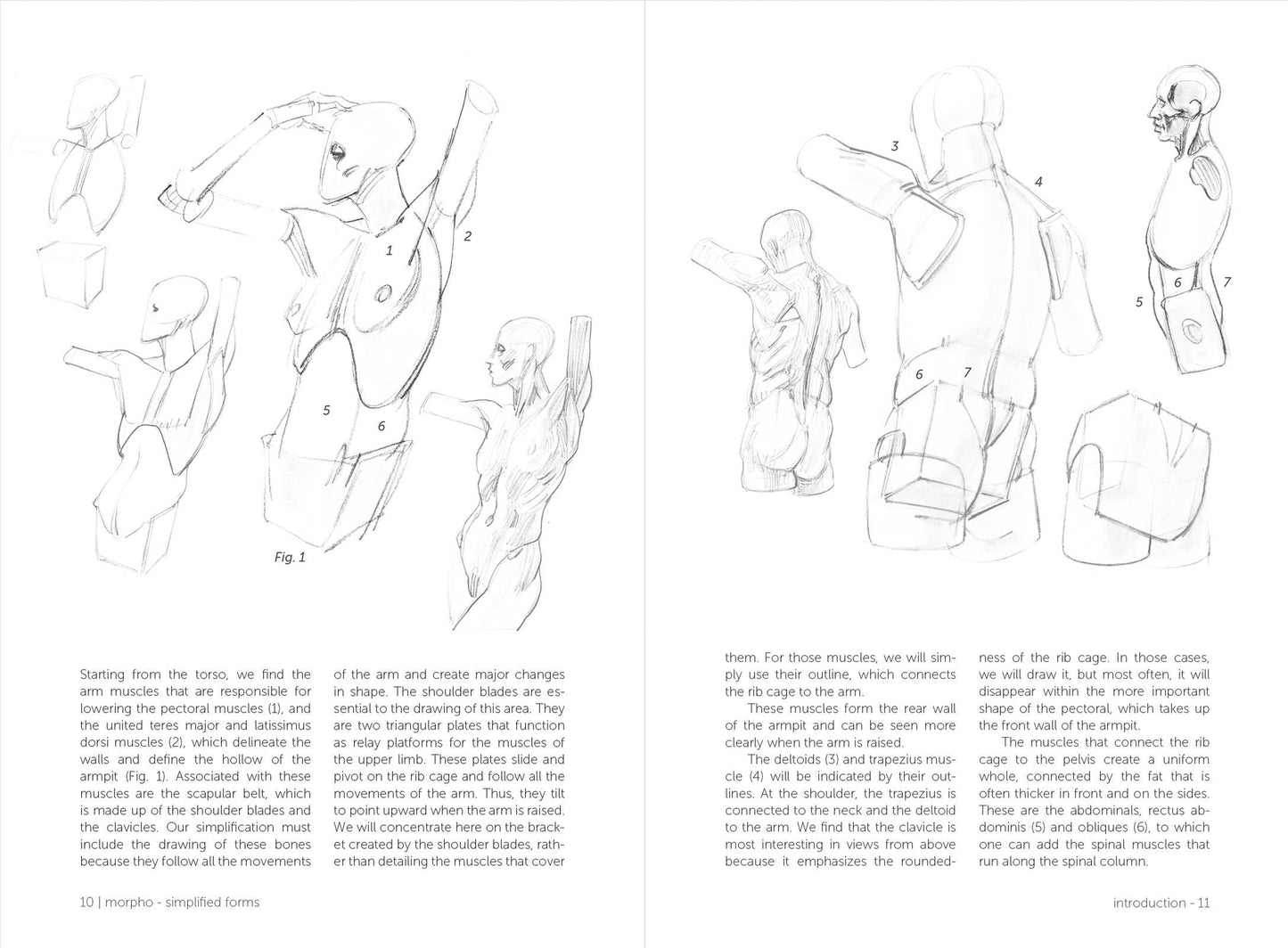 Rocky Nook - Morpho: Simplified Forms