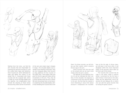 Rocky Nook - Morpho: Simplified Forms