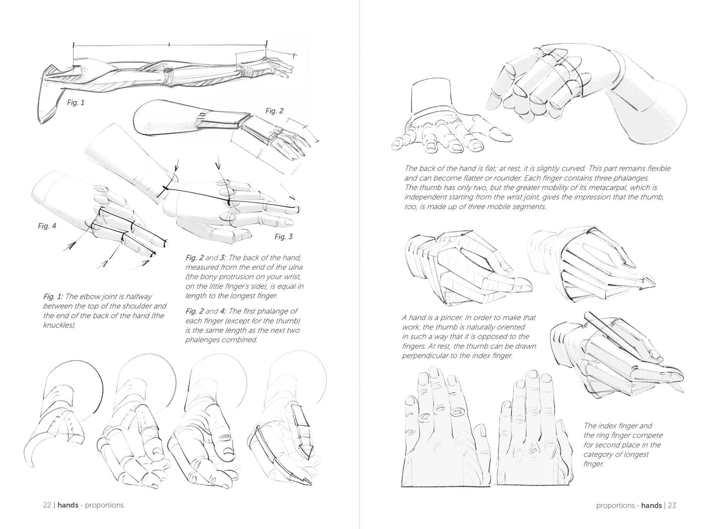 Rocky Nook - Morpho: Hands And Feet