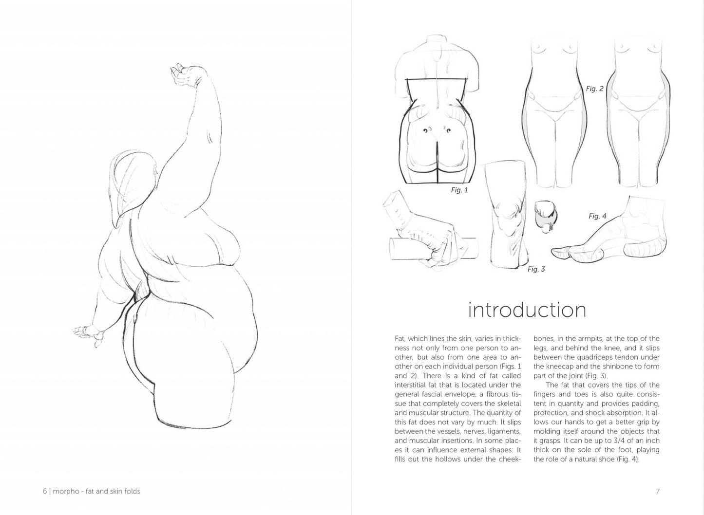 Rocky Nook - Morpho: Fat And Skin Folds